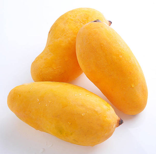 Sindhri — The Queen of Early Summer.